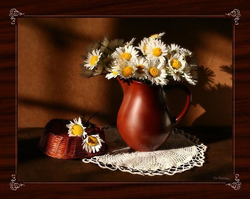 Daisies in a Pitcher — Brown