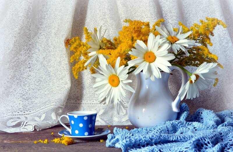 Daisies in a Pitcher — White, Serene, Afternoon