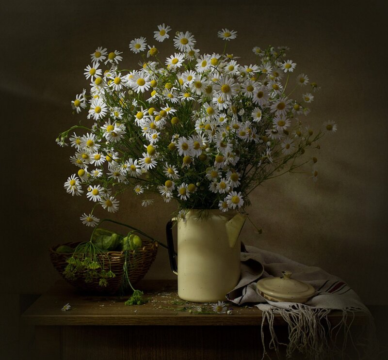 Daisies in a Pitcher — White, Serene, Photograph, Basket