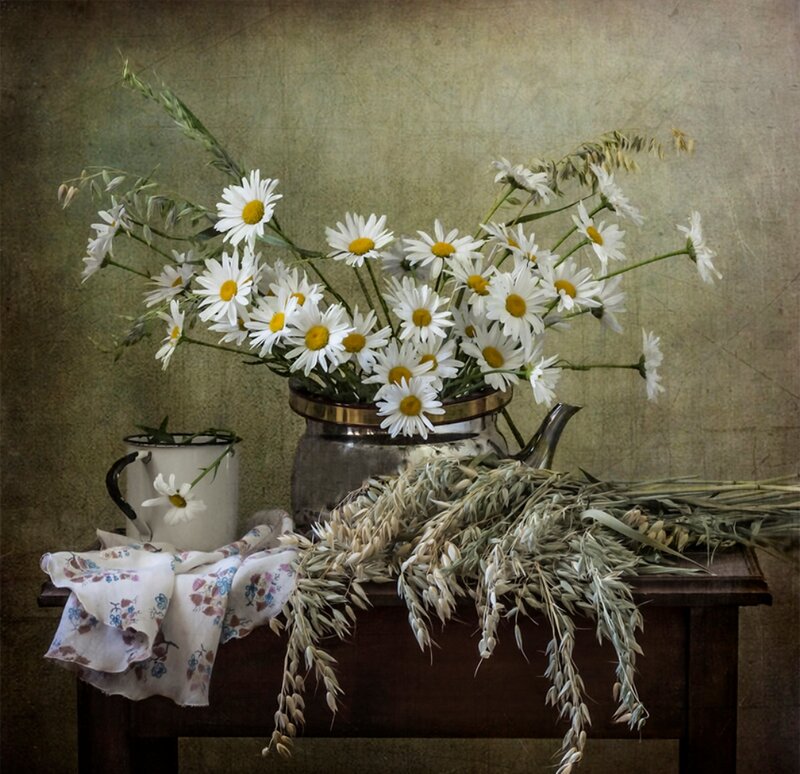 Daisies in a Pitcher — White, Serene, Photograph, Cloth