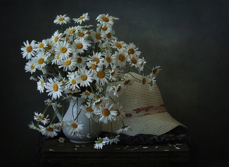 Daisies in a Pitcher — White, Serene, Photograph, Hat