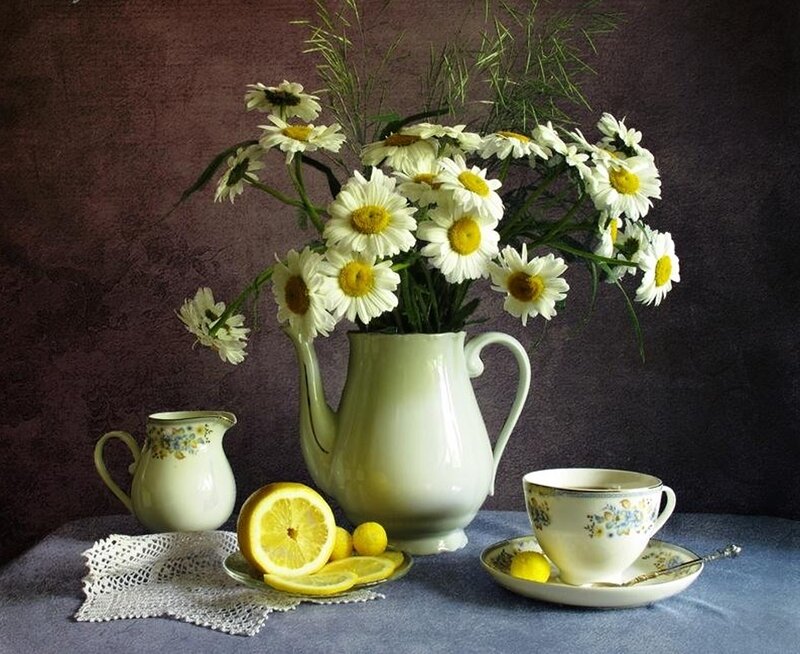 Daisies in a Pitcher — White, Serene, Photograph, Lemons