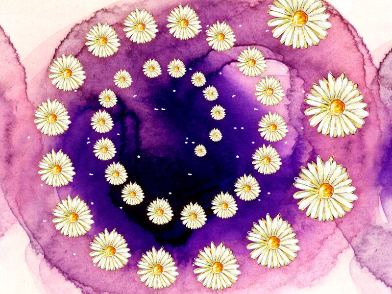 Daisies in a Spiral