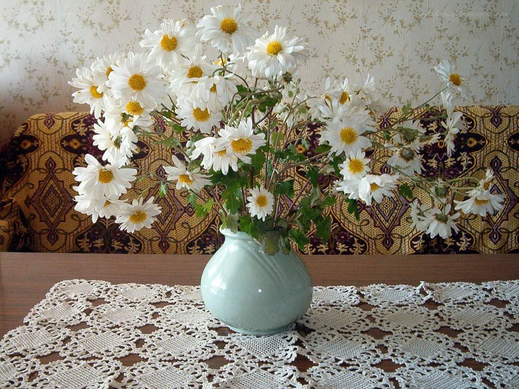 Daisies in a vase
