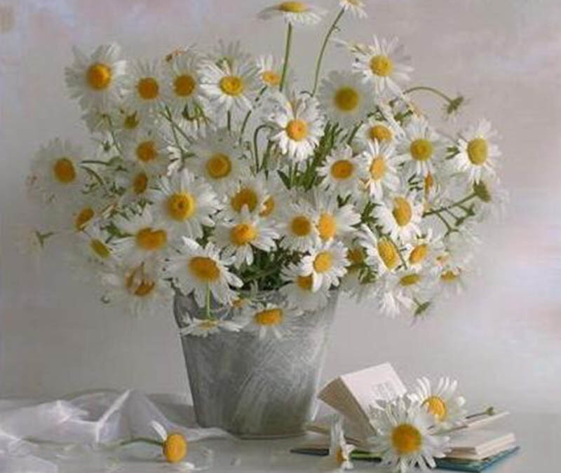 daisies in a vase
