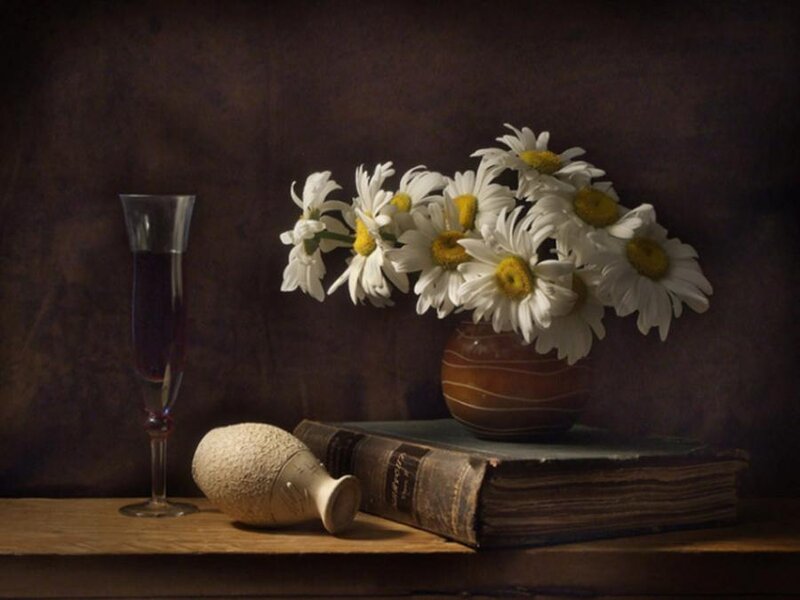 Daisies in a Vase — Brown, Calm