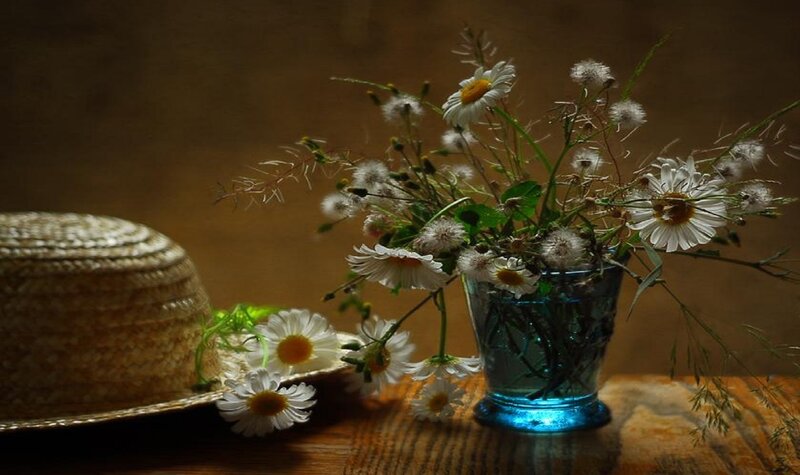 Daisies in a Vase — Brown, Serene