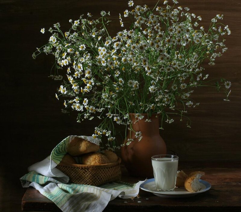 Daisies in a Vase — Brown