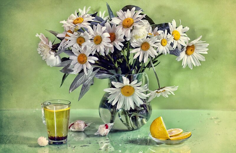 Daisies in a Vase — Green, Calm, Photograph