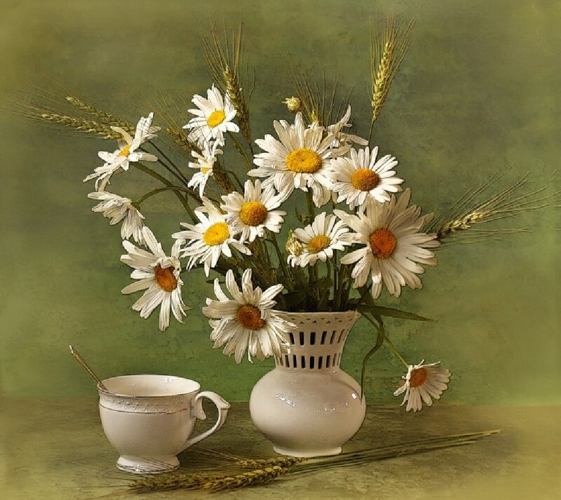 Daisies in a Vase — Green, Serene