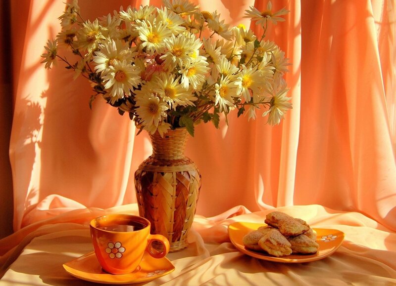 Daisies in a Vase — Orange