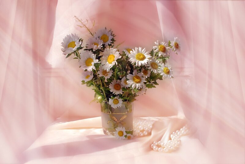 Daisies in a Vase — Pink