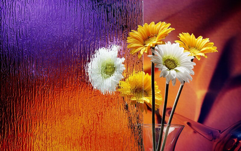 Daisies in a Vase — Purple, Colorful