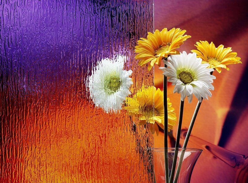 Daisies in a Vase — Purple, Vibrant, Photograph