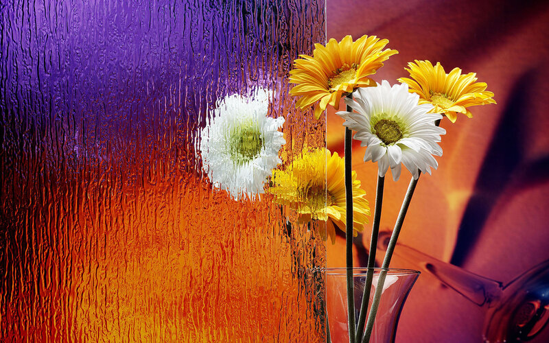 Daisies in a Vase — Purple, Vibrant