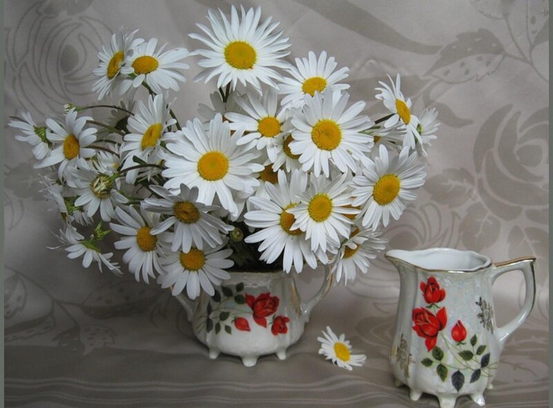 Daisies in a vase