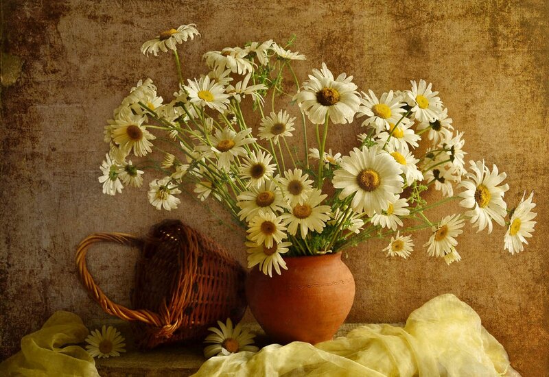 Daisies in a Vase — White, Calm, Photograph, Basket