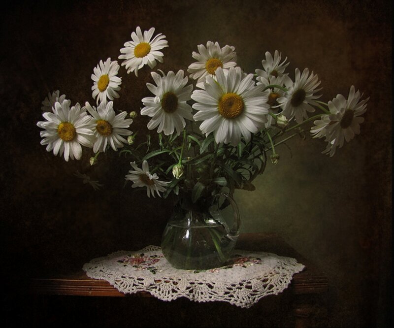 Daisies in a Vase — White, Calm, Photograph, Doily