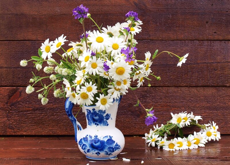 Daisies in a Vase — White, Calm, Summer
