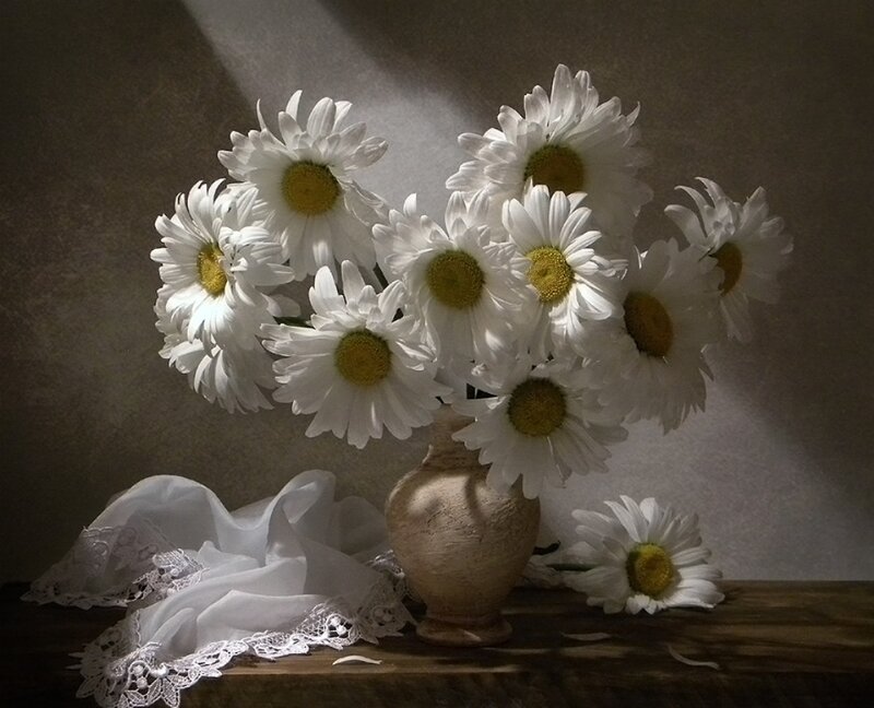 Daisies in a Vase — White, Dramatic, Photograph, Lace Cloth