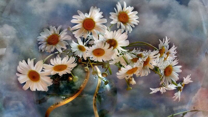 Daisies in a Vase — White, Serene, Digital Art