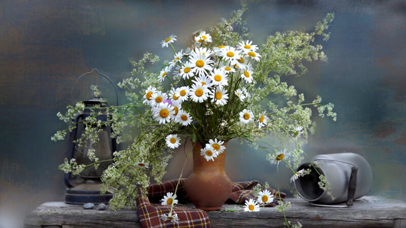 Daisies in a Vase — White, Serene, Painting, Lantern