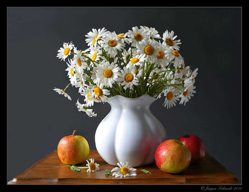 Daisies in a Vase — White, Serene, Photograph, Apples