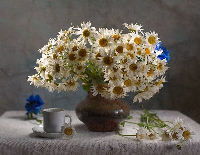 Daisies in a Vase — White, Serene, Photograph, Cup and Saucer