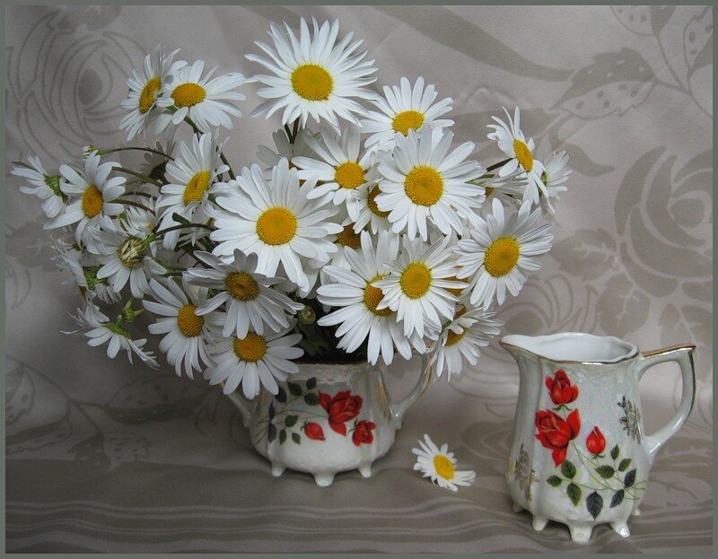 Daisies in a Vase — White, Serene, Photograph, Pitcher, Flower, Yellow, Red