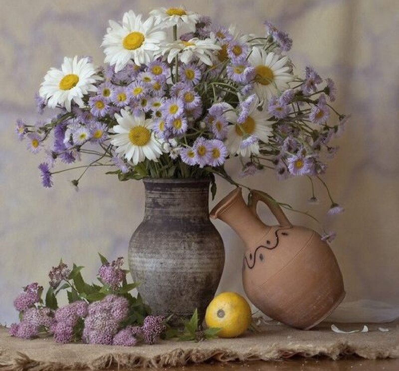 Daisies in a Vase — White, Serene, Photograph, Pitcher, Lemon