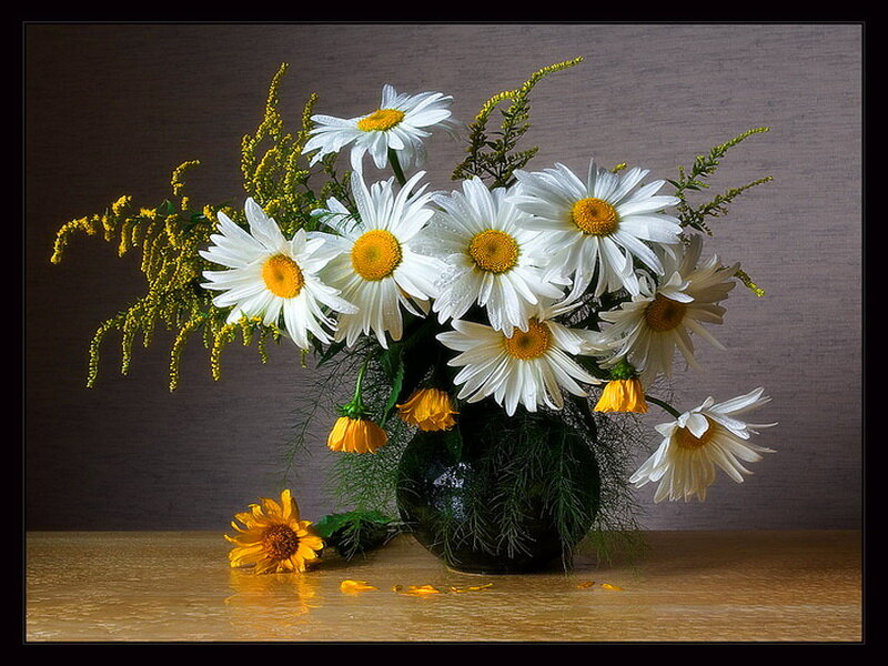 Daisies in a Vase — White, Serene, Photograph, Table