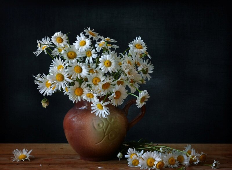Daisies in a Vase — White, Serene, Photograph, Wooden Table