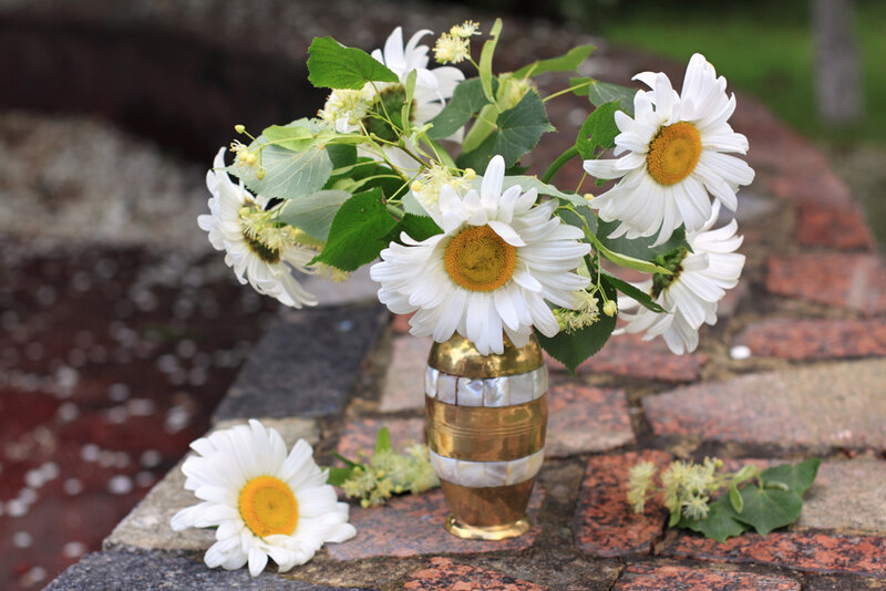 Daisies in a Vase — White, Serene, Summer