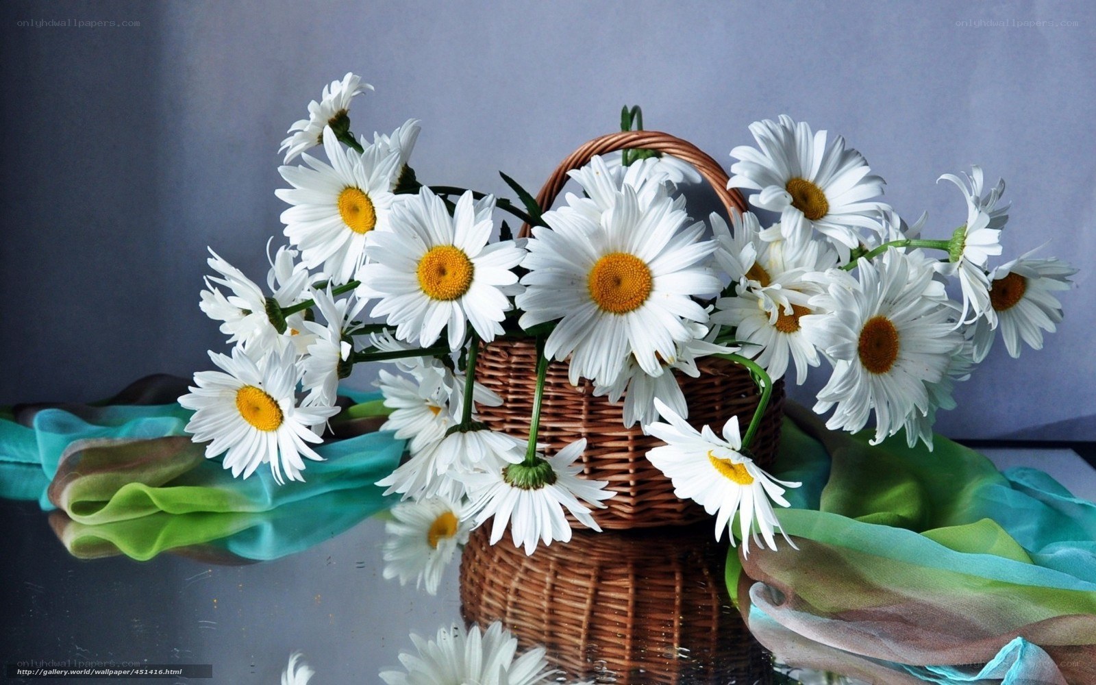 Daisies in a wicker basket