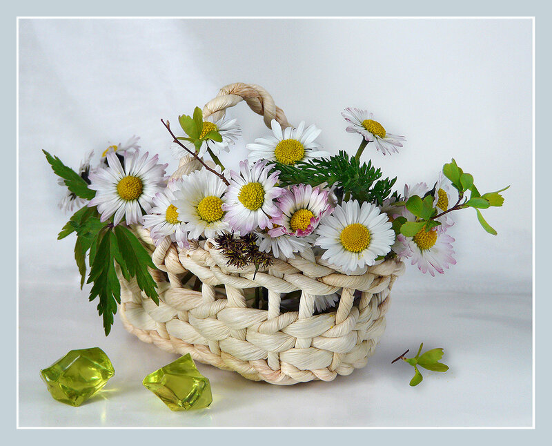 daisies in a woven basket