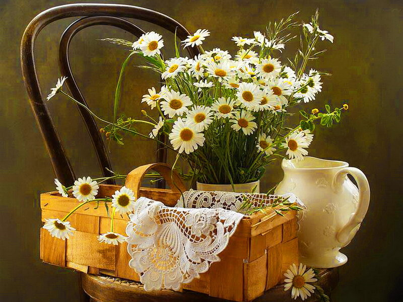 Daisies in Basket