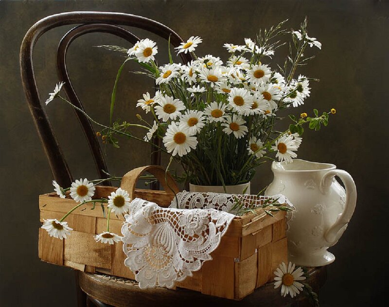 Daisies in Basket — White