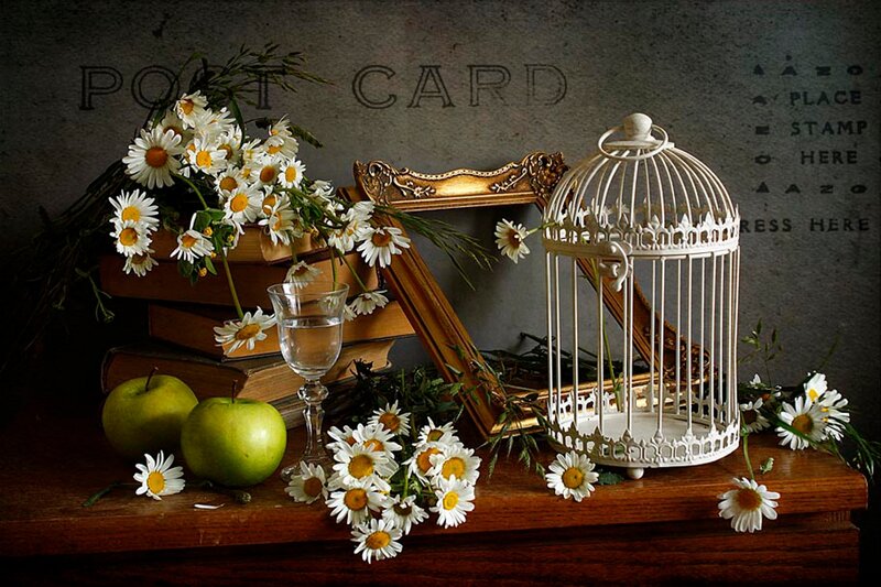 Daisies in Birdcage