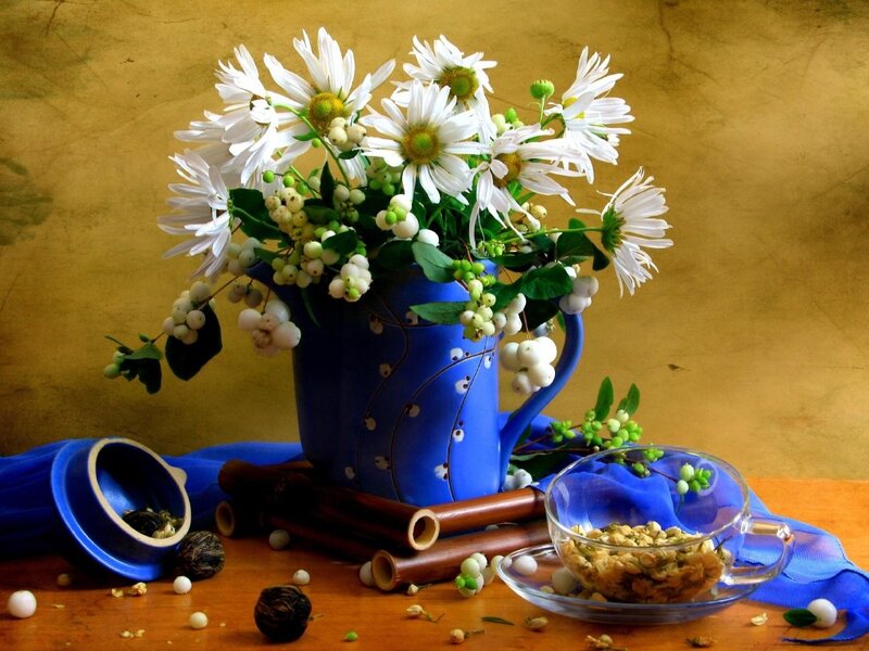 Daisies in Blue Pitcher — Serene