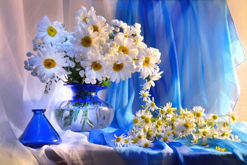 Daisies in Blue Vase — Serene