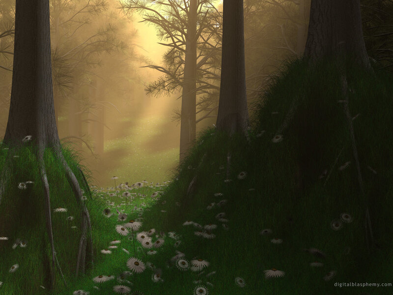 Daisies in Forest — Green