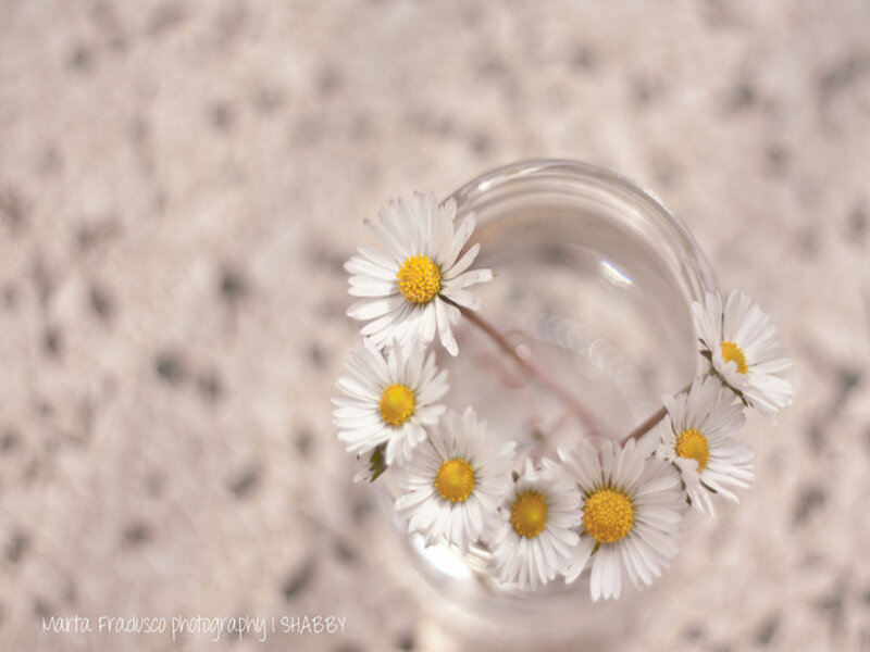 Daisies in Glass Jar