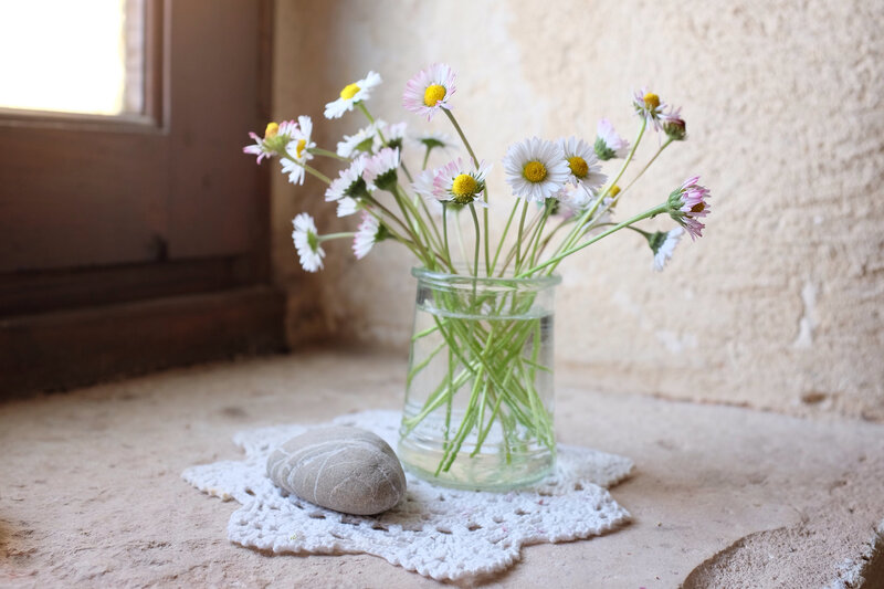 Daisies in Glass Jar — White, Serene