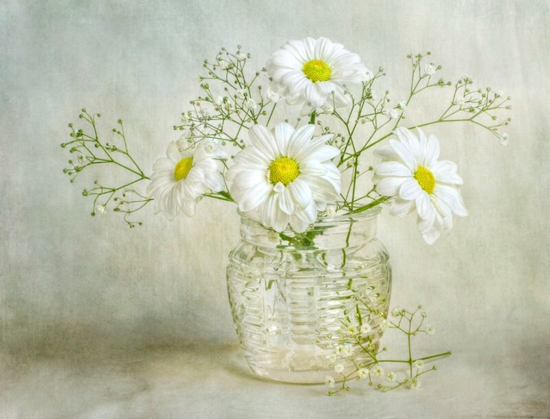 Daisies in Glass Jar — White