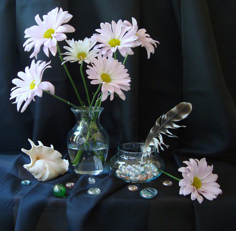 Daisies in Glass Vase