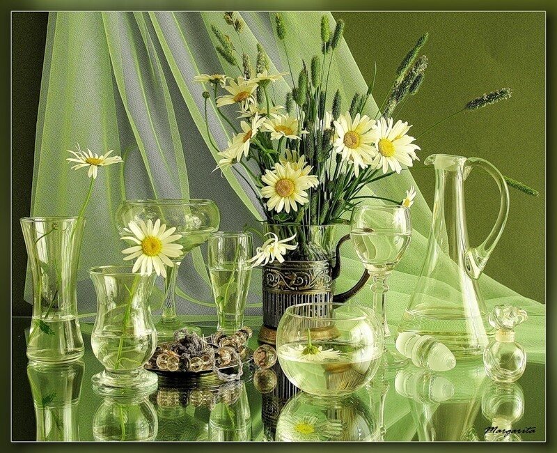 Daisies in Glassware