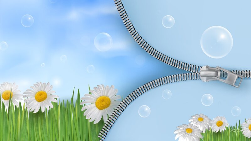 Daisies in Grass — Blue, Serene