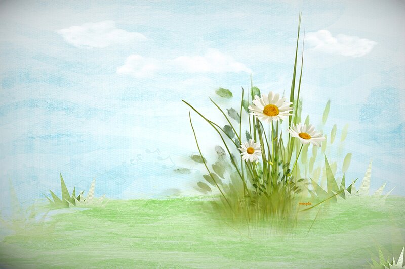 Daisies in Grass — Green, Serene, Spring, Digital Art