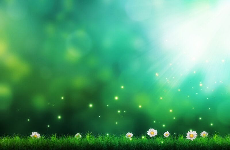 Daisies in Grass — Green, Serene