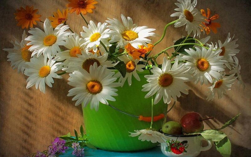 Daisies in Green Bucket — White